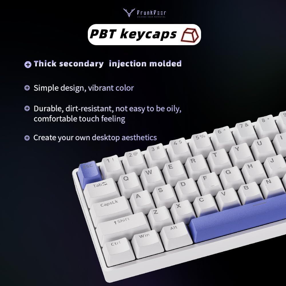 最短当日発送 DrunkDeer G60 ラピッドトリガー メカニカルゲーミングキーボード TKL 磁気スイッチキーボード RGB PBT キーキャップ コンパクト 60%レイアウト 61キー USB有線 ホワイト VETTDRUCK_DE