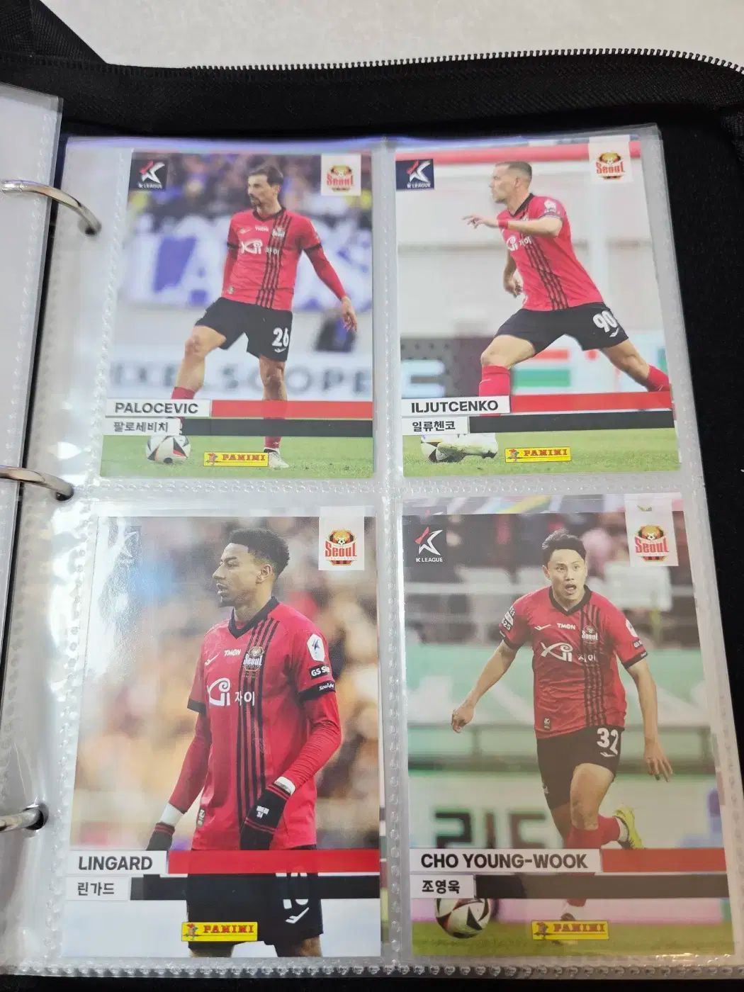 Panini パニーニ