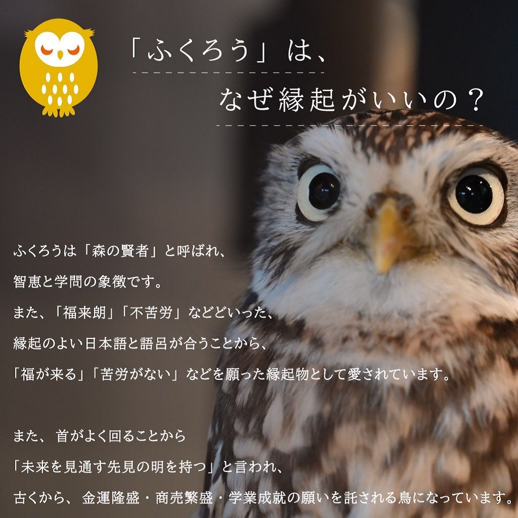 福財布 福寄れば財が成る縁起財布！ふくろう福財布 折り財布(スナップ