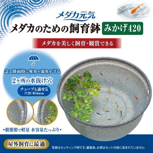 同梱不可 5個セット ジェックス メダカ元気 メダカのための飼育鉢 みかげ 420 42cm みかげ色