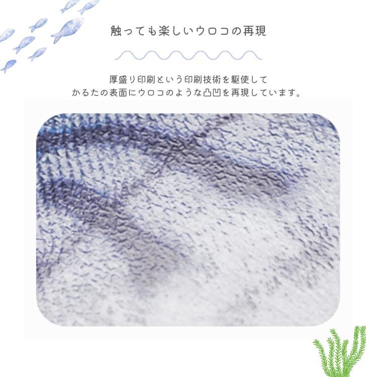通常版 淡水魚版