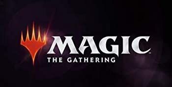 MTG マジック ザ ギャザリング エルドレインの王権 コレクター ブースターパック 日本語版 入りBOX