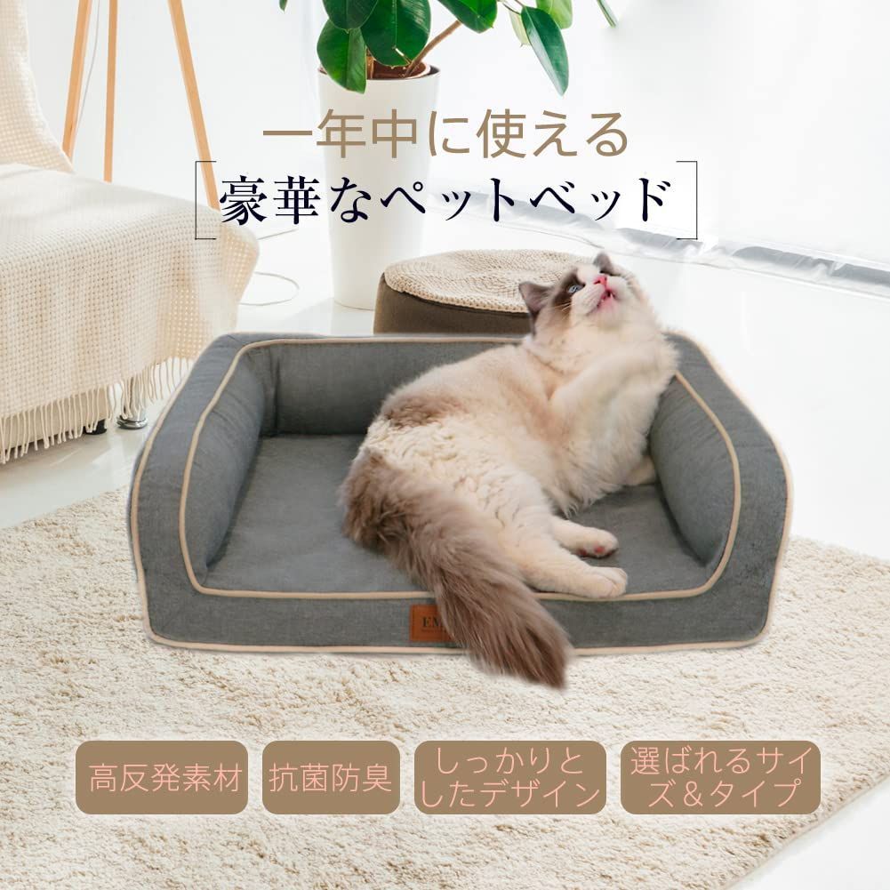 中型犬 大型犬
