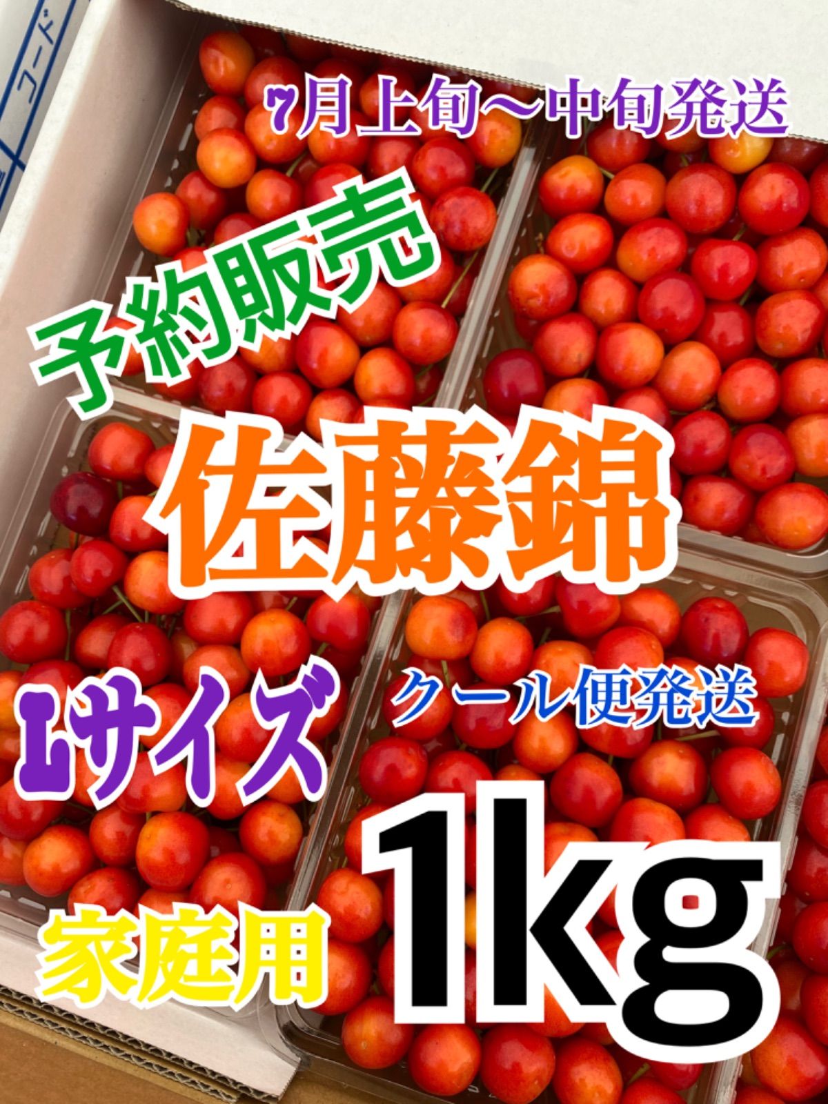 79％以上節約79％以上節約本日発送 さくらんぼ 佐藤錦 L.2Lサイズ 850g