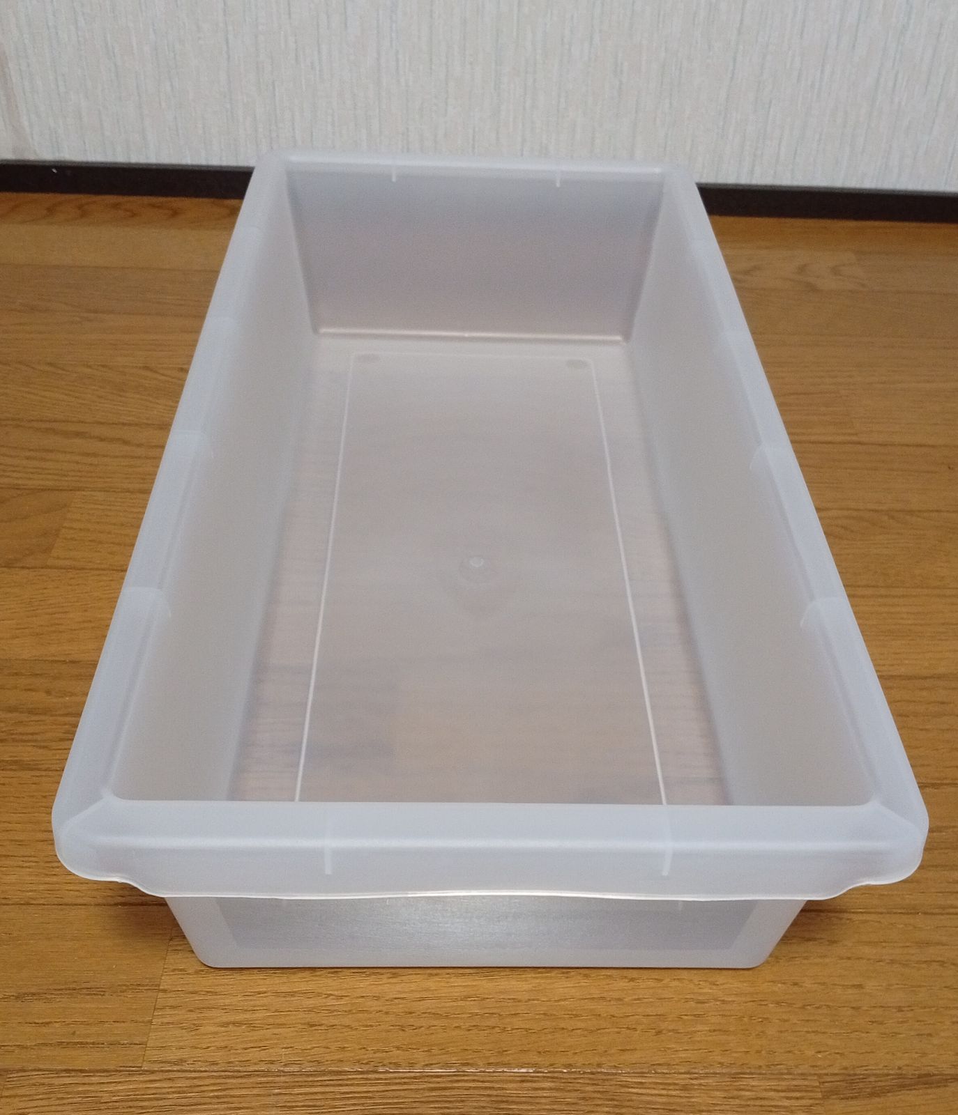 ボールパイソン コーンスネーク