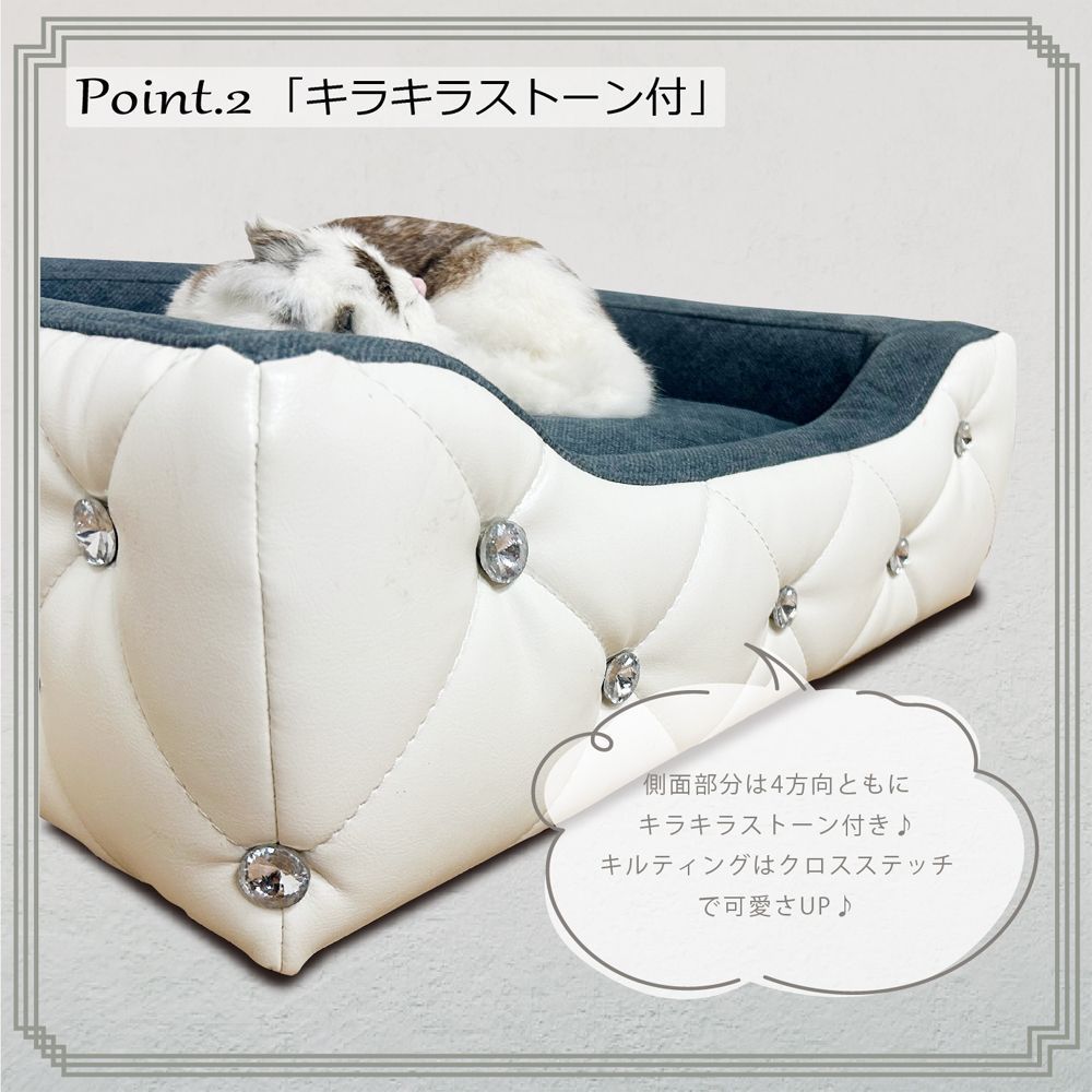 猫用
