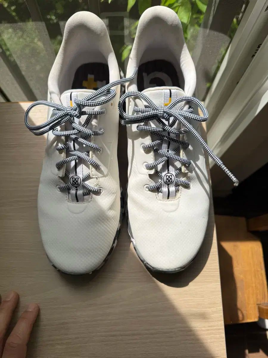 BODYLINE ロッキンホース 24cm BODYLINE ロッキンホース 24cm BODY LINE ロッキンホース風 美品