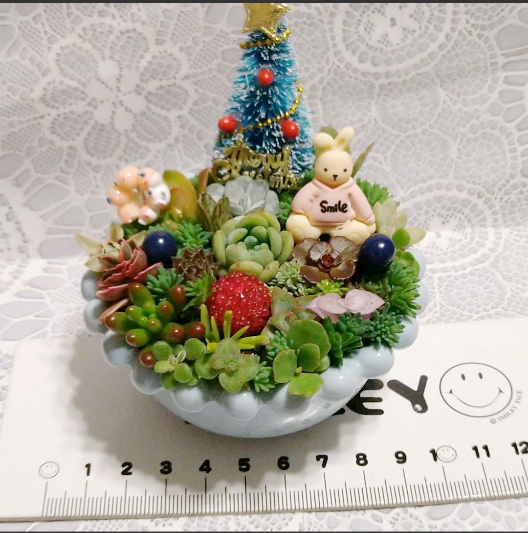 多肉植物☆寄せ植え☆そのまま飾れる☆クリスマスツリー＆ウサギさん