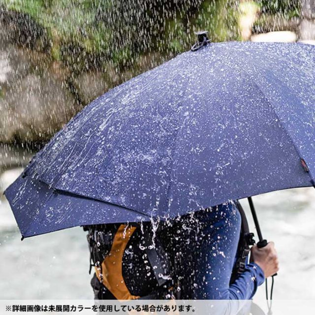傘