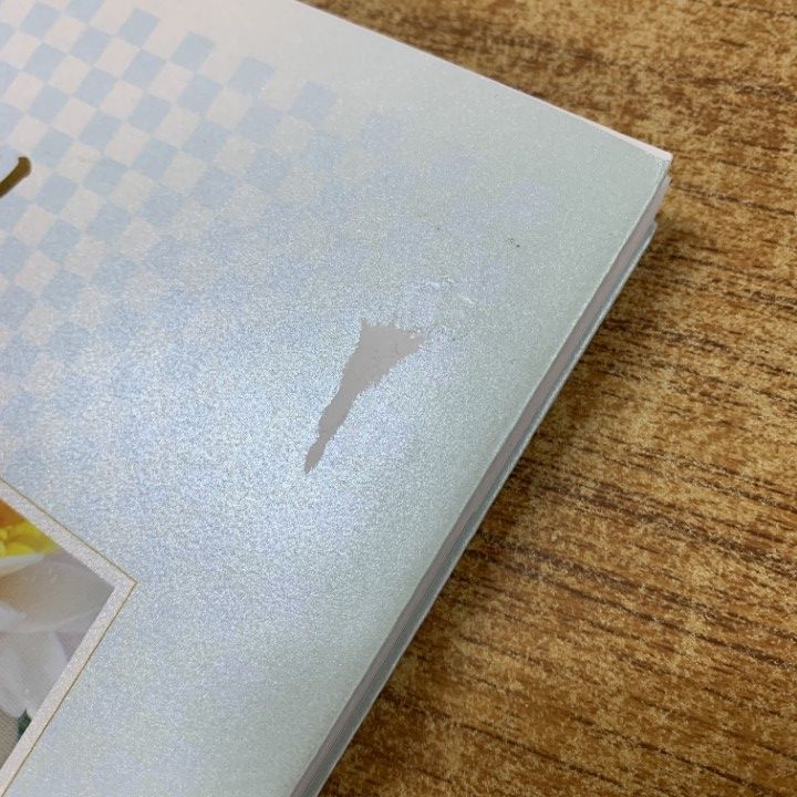 本 △01)【1点限り!】【希少・記念しおり付き】自然との対話 光彩の