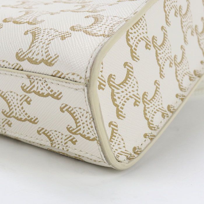 トリオンフキャンバス 19437