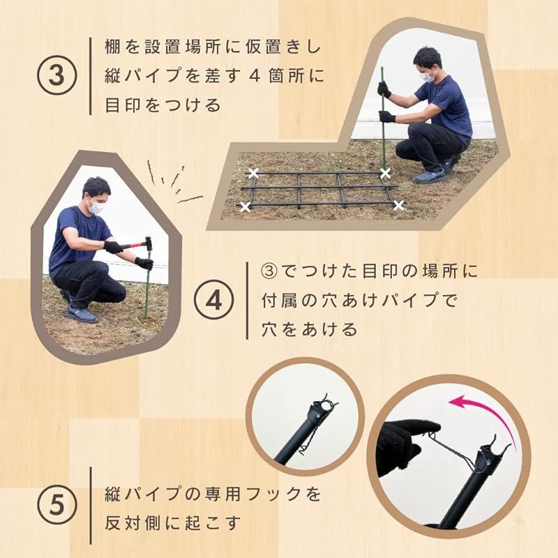 藤棚