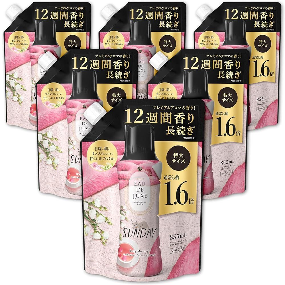 マインドフルネスシリーズ サンデー レノア オードリュクス 香り付け ビーズ 詰め替え 855mL×6袋