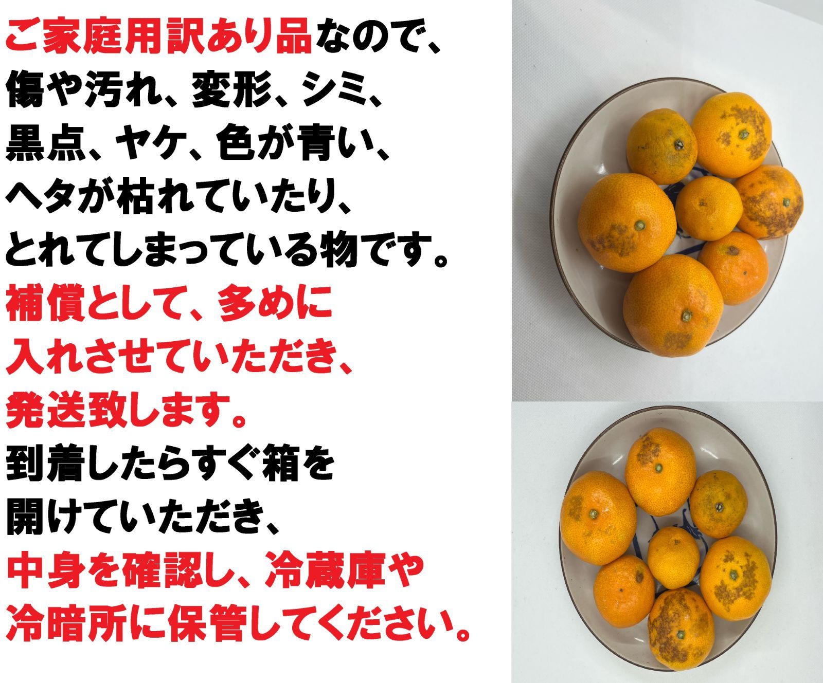 【超お買い得!】旬の柑橘 詰め合わせ 10kg補償有＜沖縄・北海道の方 専用＞-2