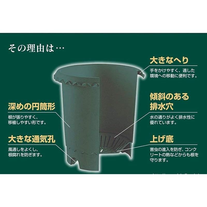 リッチェル バラ鉢