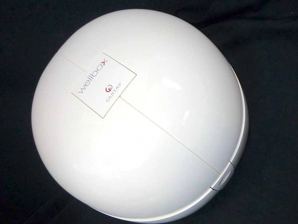 Wellbox ウェルボックス エンダモロジー 家庭 セルライト フィルター18