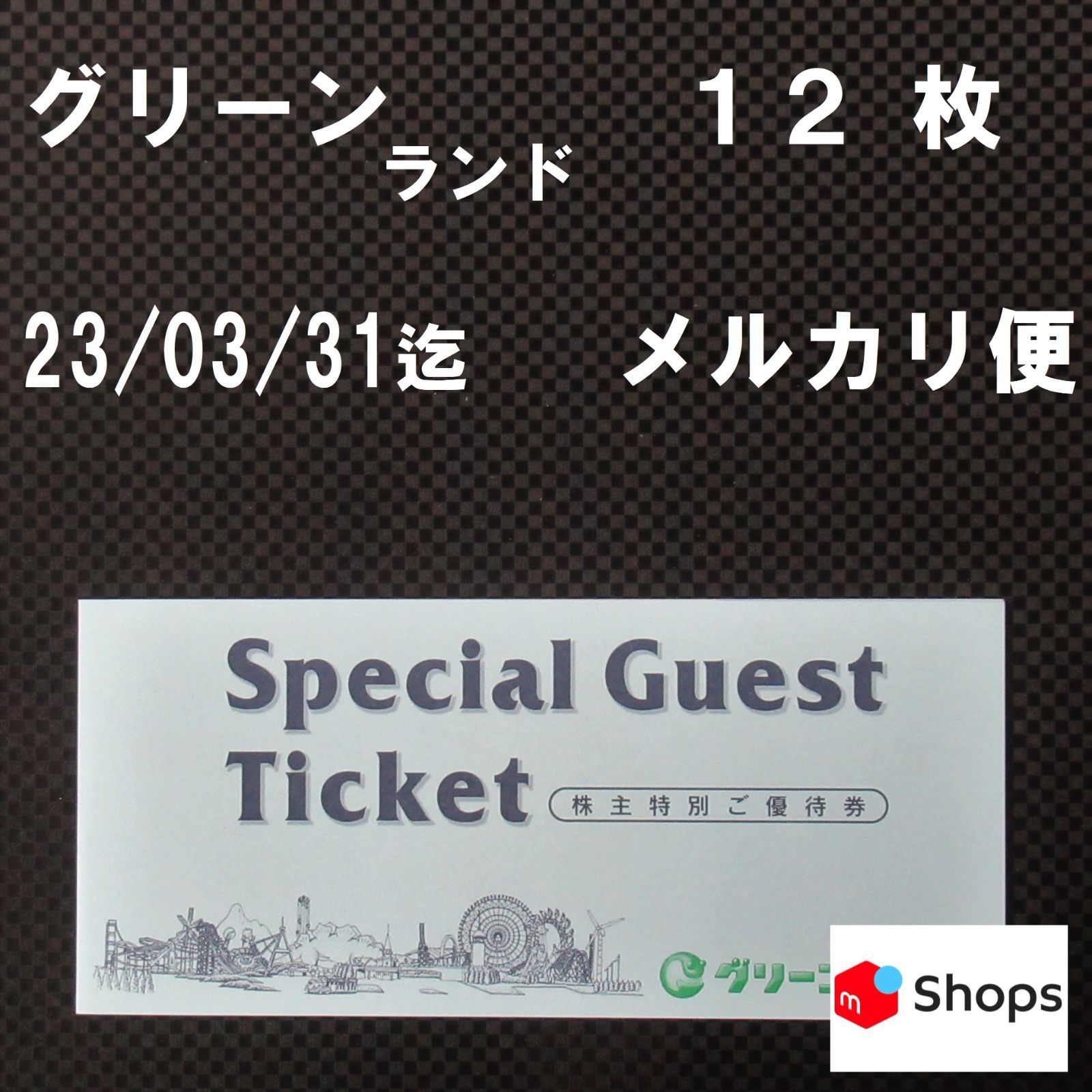 グリーンランドリゾート 株主優待セット 1冊 - メルカリ