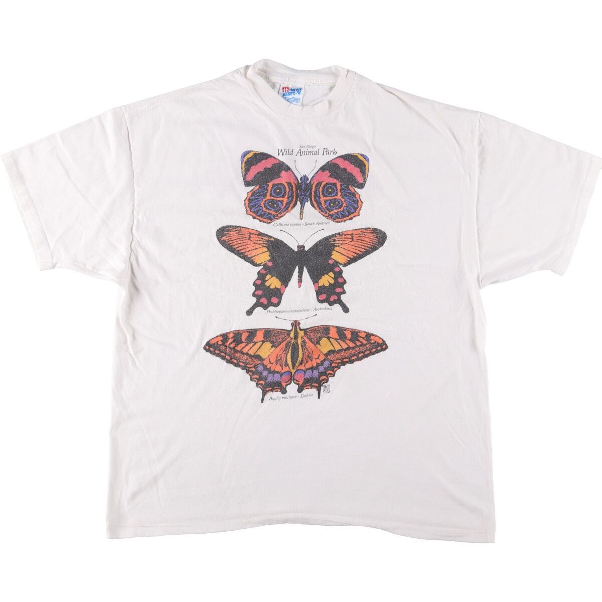 古着 90年代 ヘインズ Hanes 蝶柄 アニマルTシャツ メンズXXL相当 ヴィンテージ|eaa548759