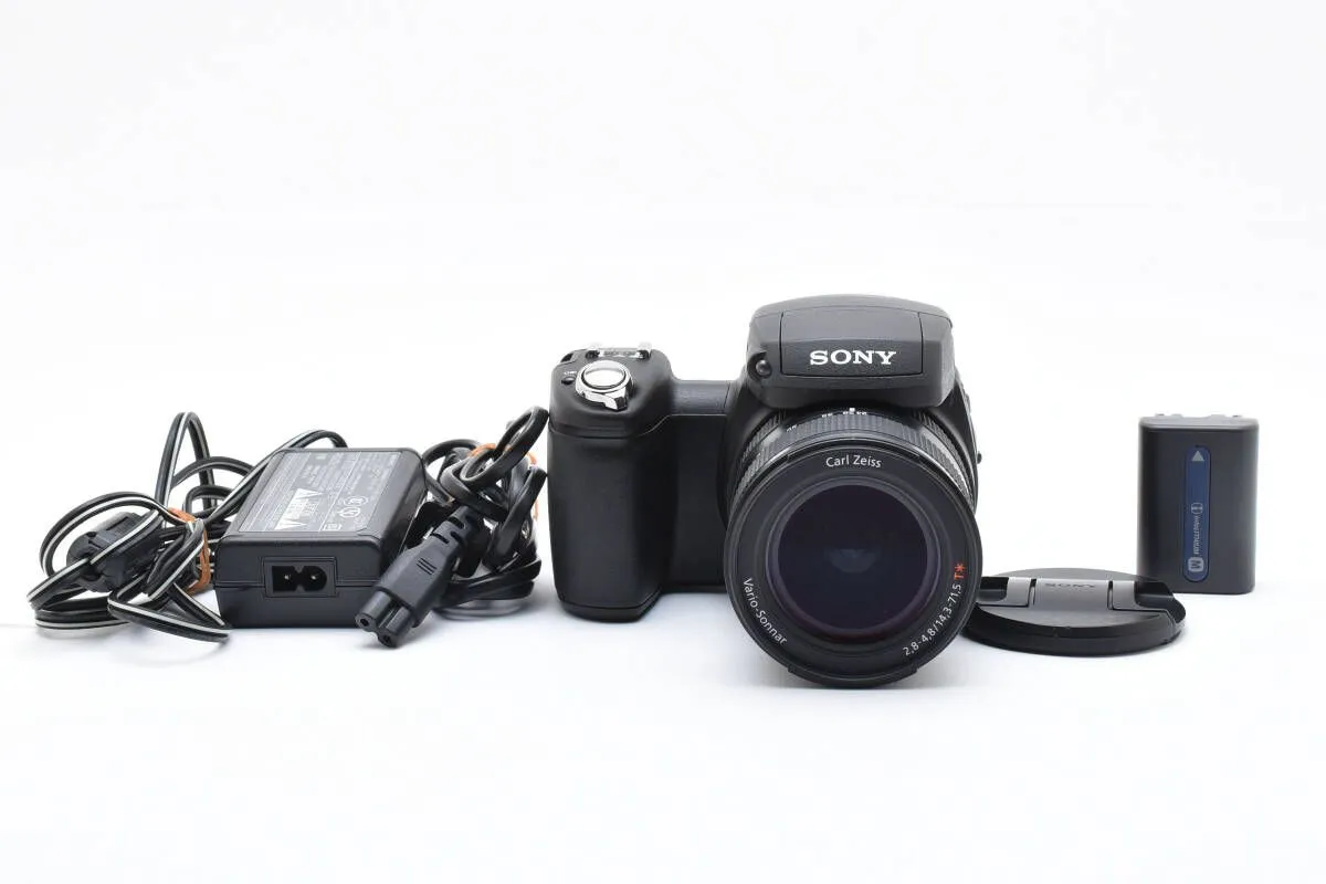 2026年最新】dsc-r1の人気アイテム - メルカリ