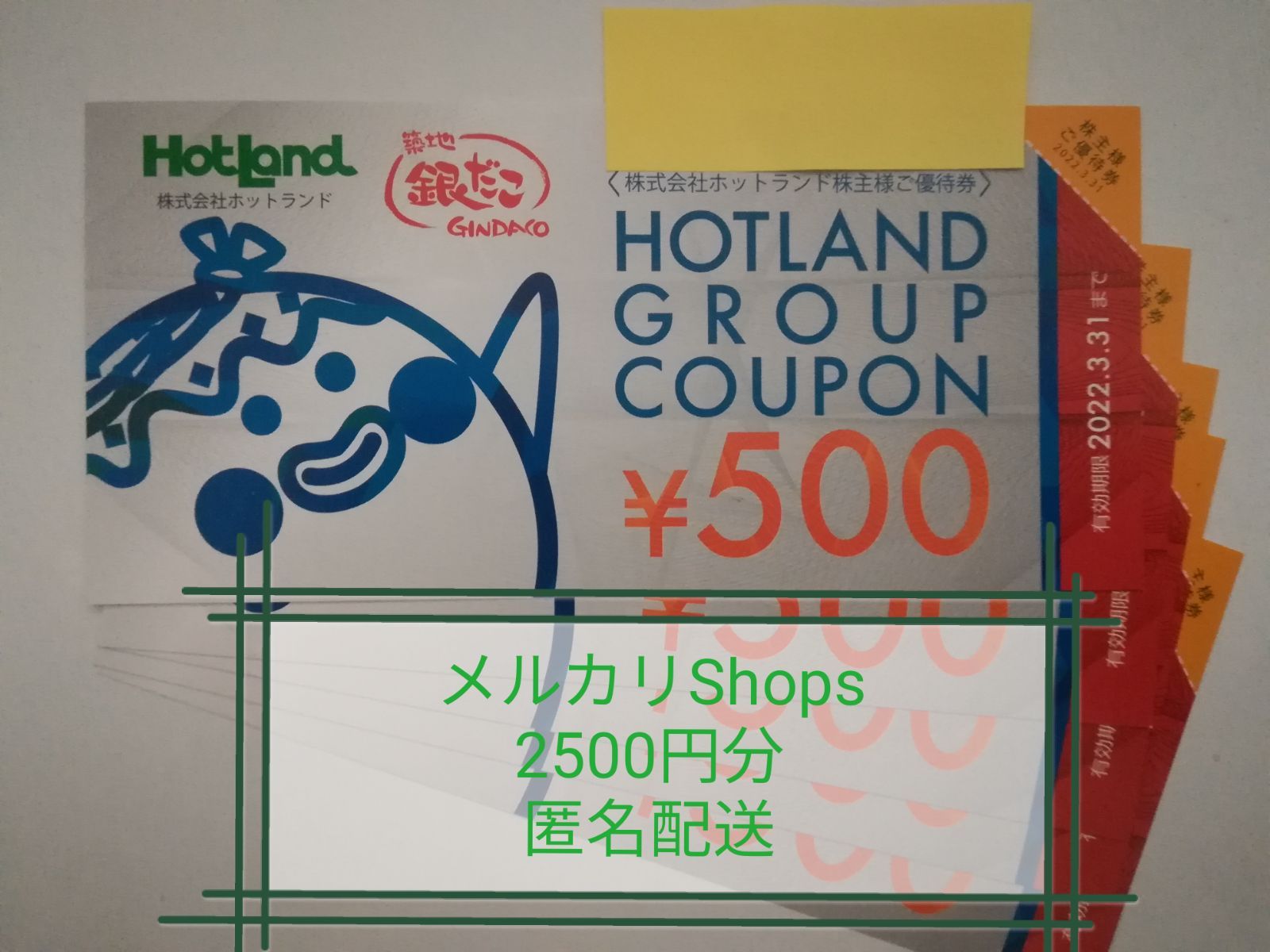 春夏新作 ホットランド株主優待券 銀だこ等 6,500円分 500×13枚