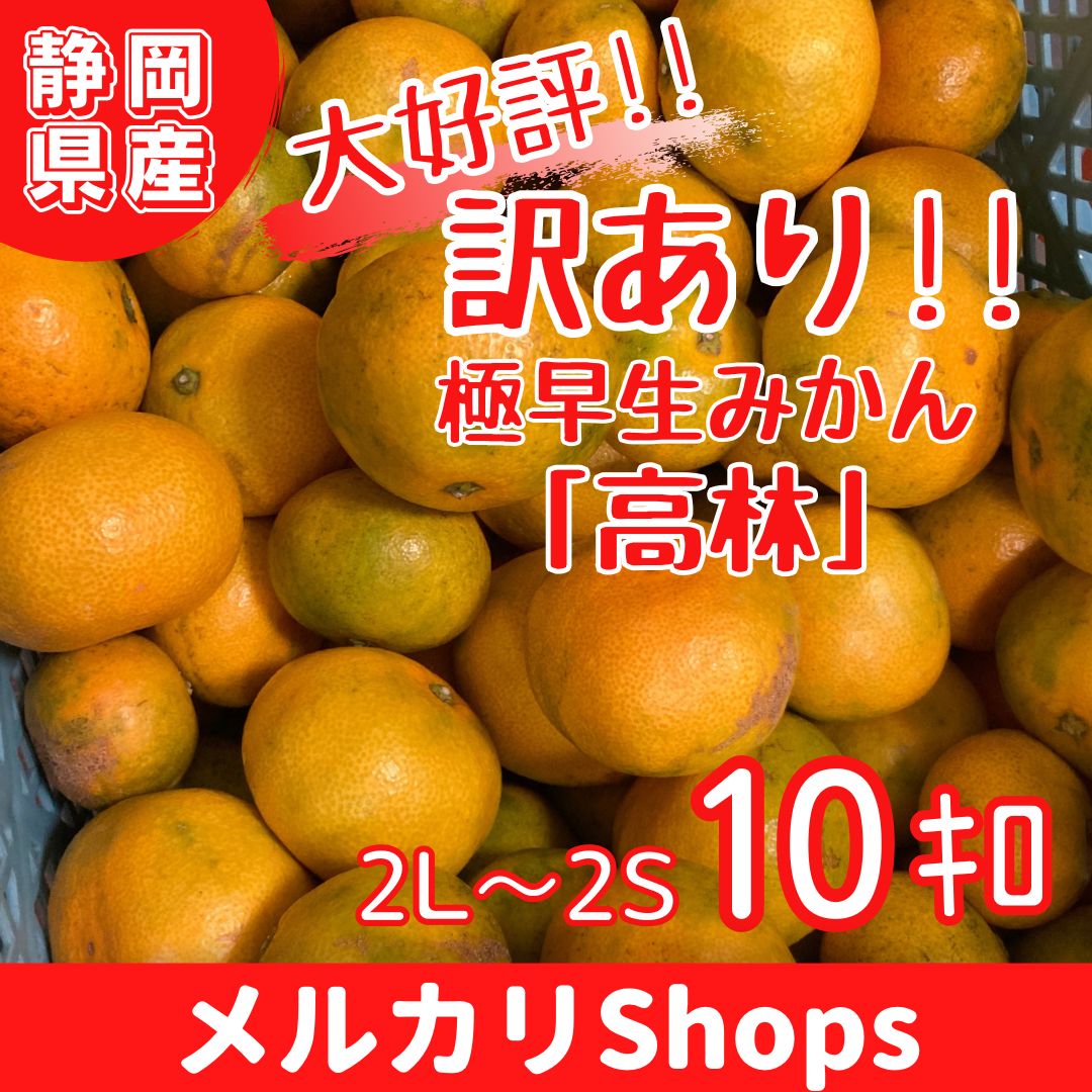 よし様専用 10キロ2箱 5キロ2箱 愛媛みかん - 食品