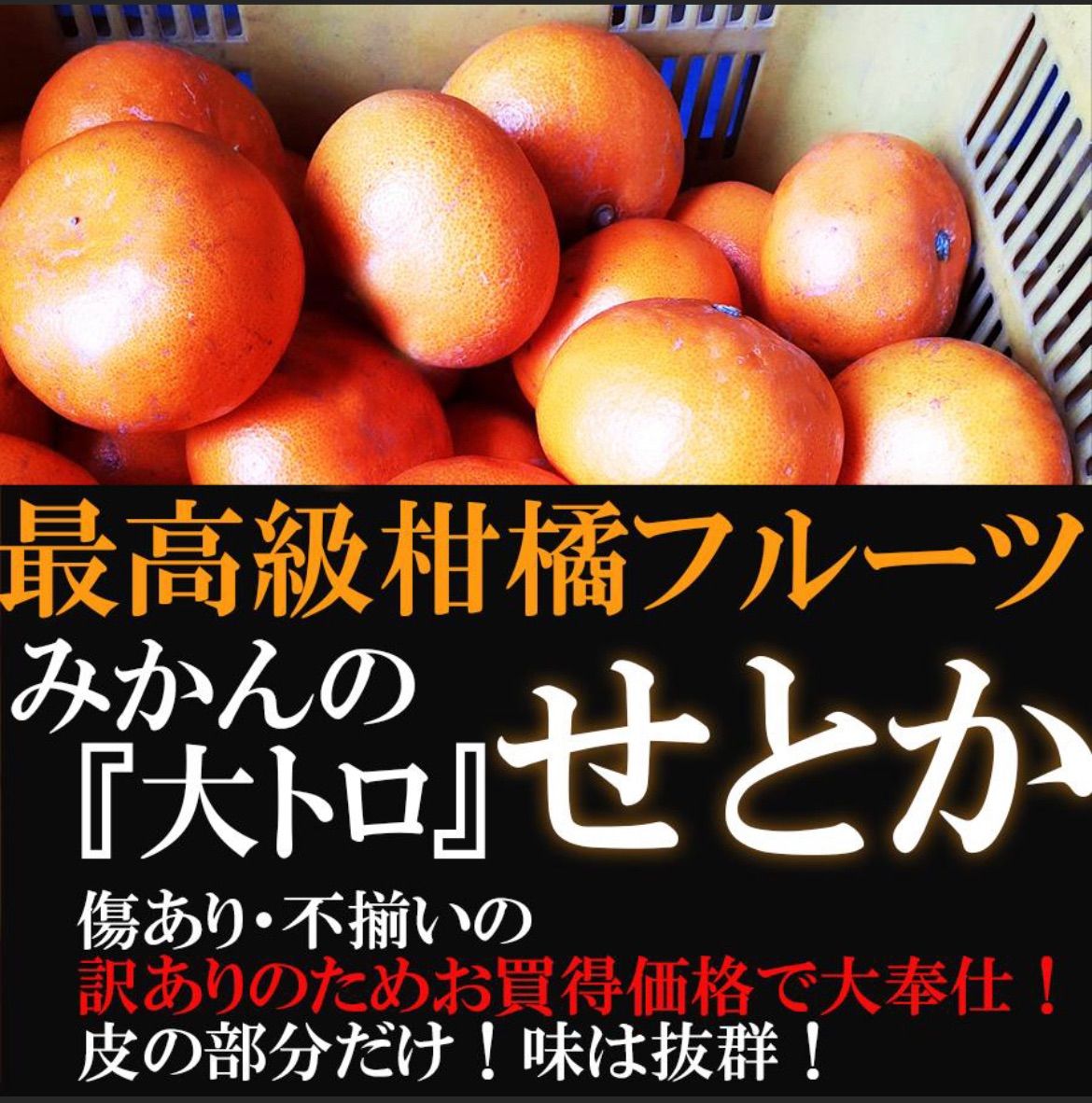 和歌山県産 オレンジ