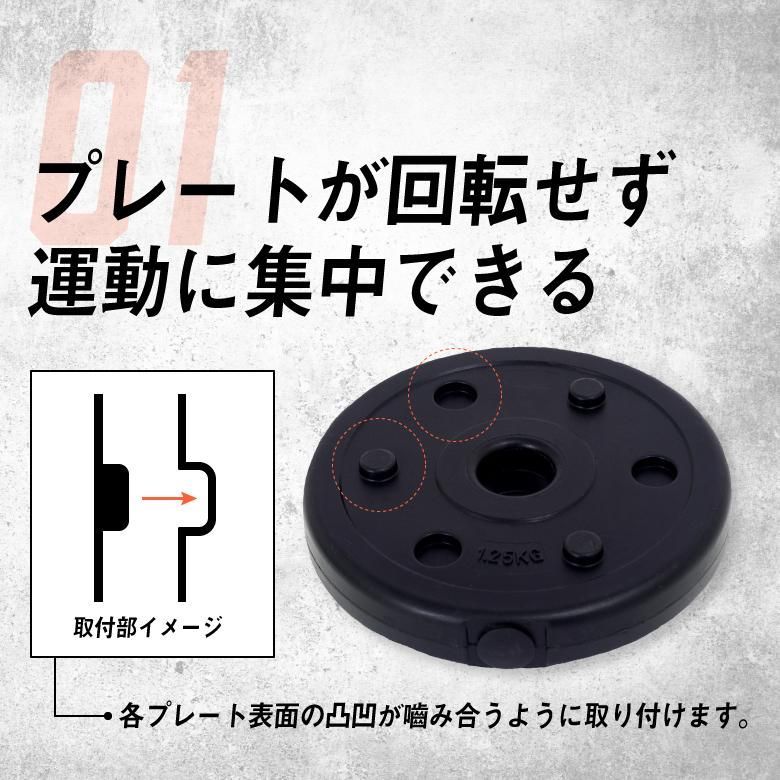 ALINCO バーベルセット アルインコ EXG421 セメント ダンベルセット