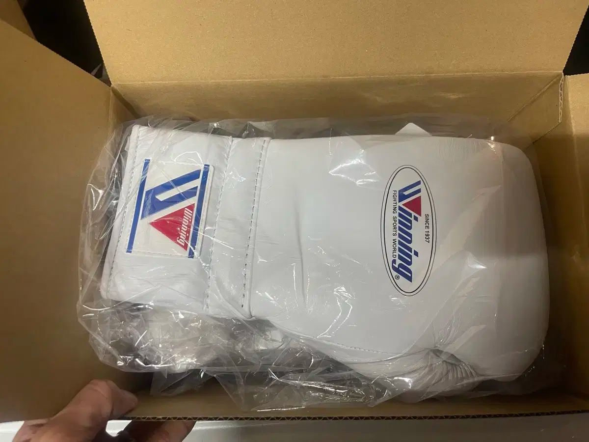 Winning ボクシンググローブ 14oz 名前入り ひもタイプ ホワイト
