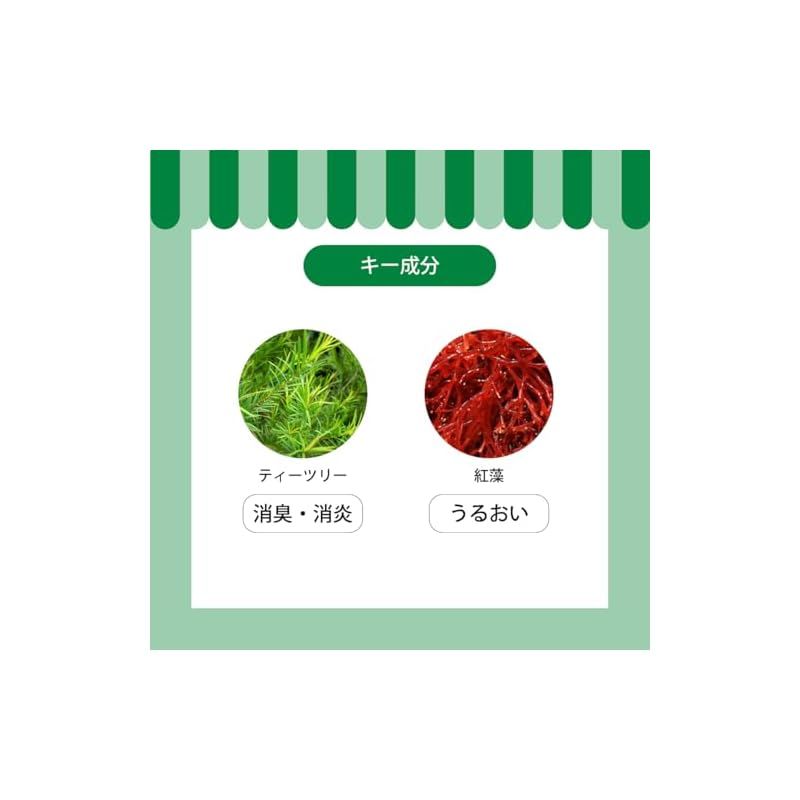 A.P.D.C. ティーツリーシャンプー5L 2本セット】APDC ティーツリー