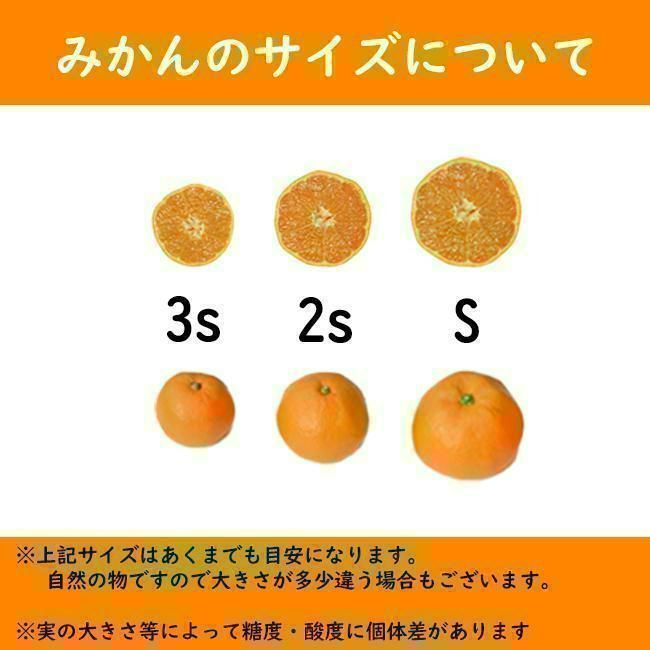 土曜日発送！小玉の有田みかん【天使のみかん】 甘すぎるとリピ続出！10kg