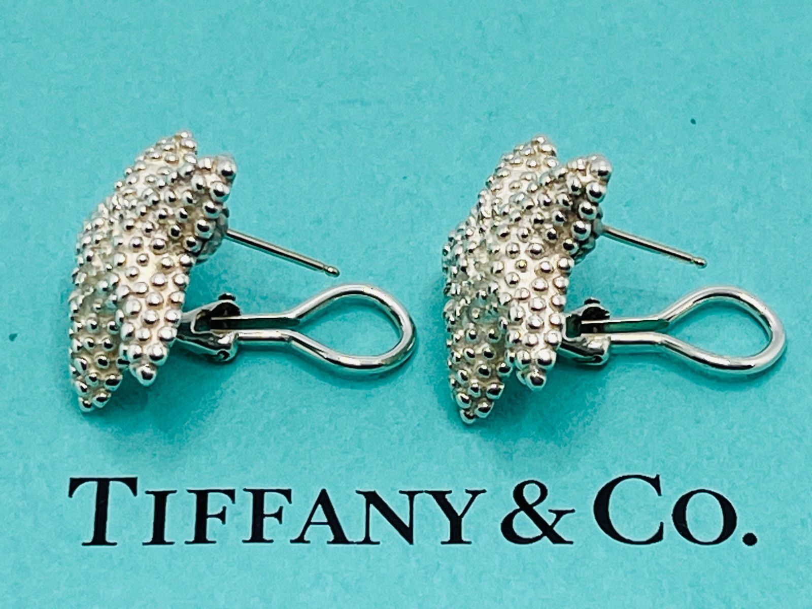 ティファニー　スターフィッシュピアス　S925最終価格　希少品 a028 送料無料 Tiffany&Co. 希少 ティファニー スターフィッシュ