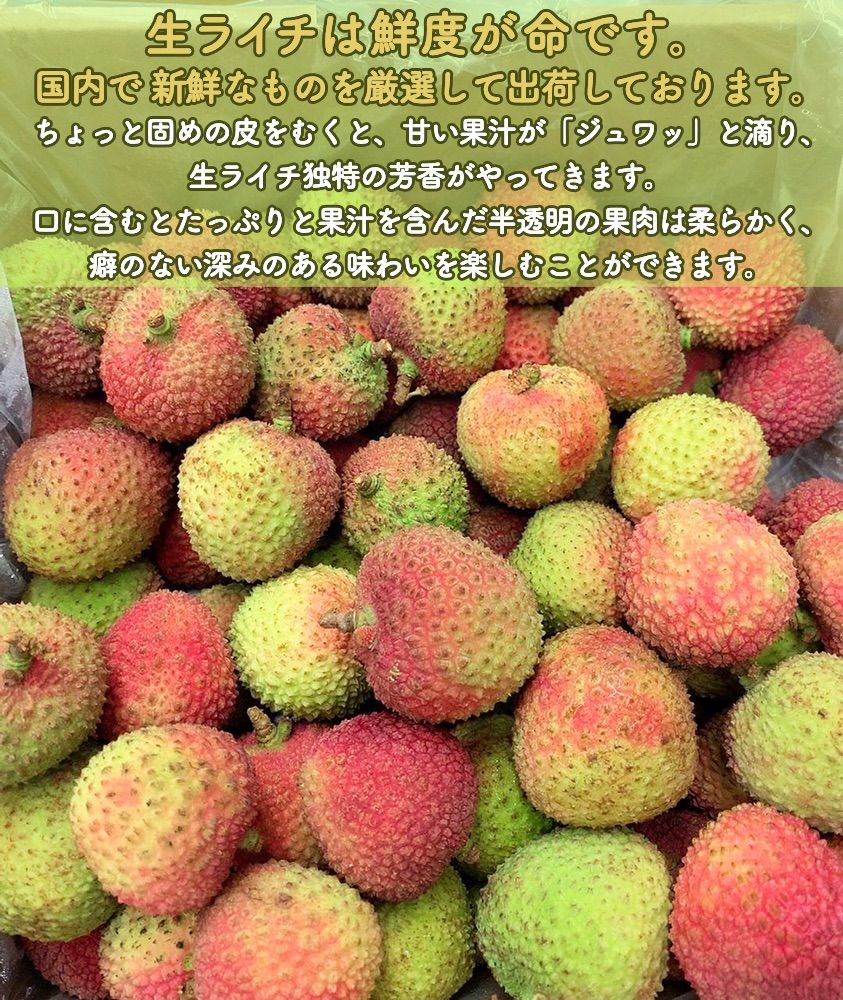 予約6月中旬＞生グリーンライチ 約2kg 箱 妃子笑 50玉前後 中国産 厳選