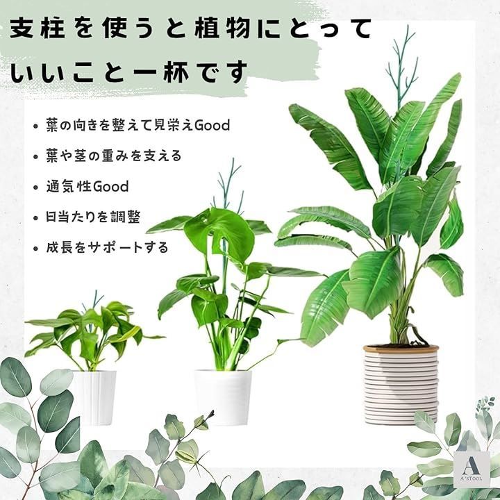 モンステラ・ポトス k Leaf Corp 支柱 プラ支柱 太目 95cm モンステラ ポトス