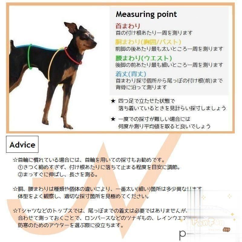 冷たい 涼しい