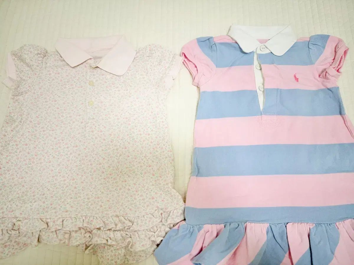 ポロベビー 2 種 ベビーボーデン 等 叢 6 蜂