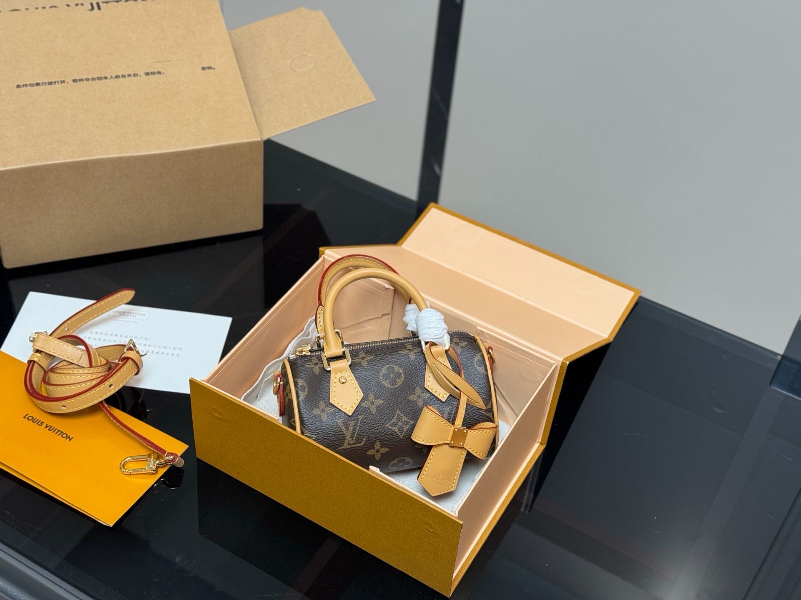 今日 Louis Vuitton Speedy Nano ルイ ヴィトン スピーディ ナノ-WTO輸入2