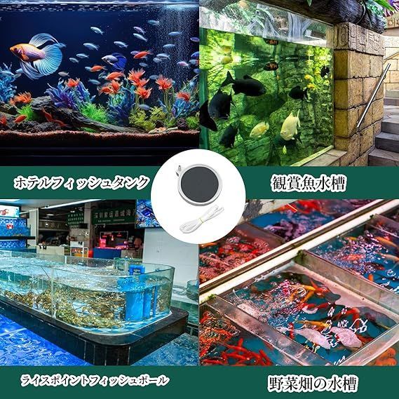 Amazon | colortree エアレーション45cm 水槽静音空気石 エアー
