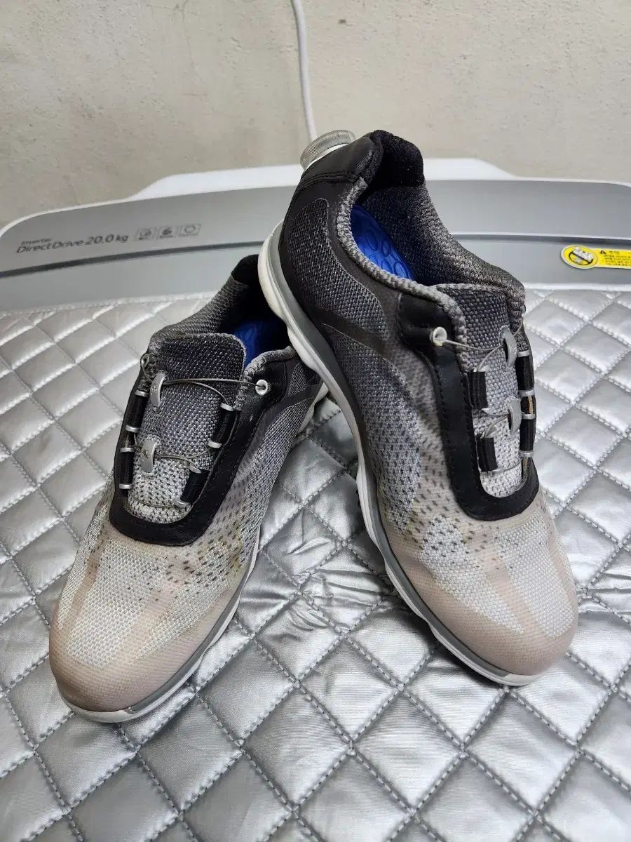 FootJoy(フットジョイ) レディース ゴルフシューズ 240