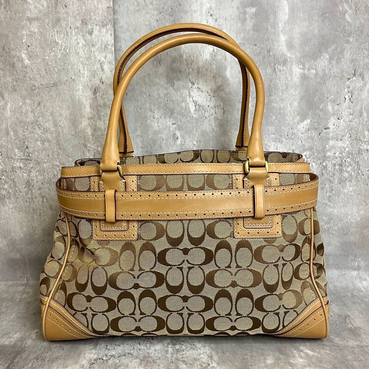 ✨良品✨ COACH コーチ ハンドバッグ トートバッグ ハンプトンズ 
