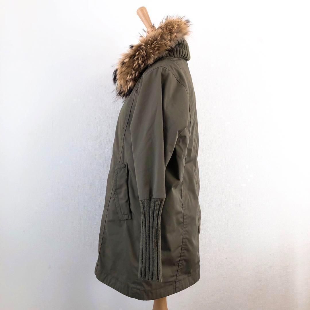 タヌキ ラクーン