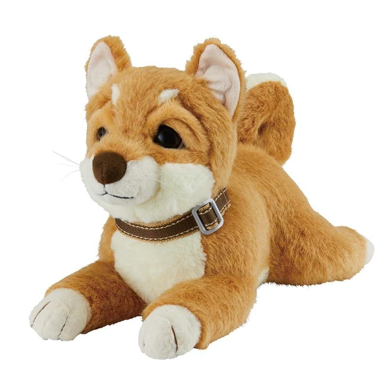 イワヤ IWAYA おはようで始めるなごみケーションわんこ柴犬 おしゃべりコミュニケーションペット 癒し系 おしゃべり インタラクティブ タッチセンサー 高齢者向け お子様向け 簡単設定 商品サイズW240×H240×D370mm 1