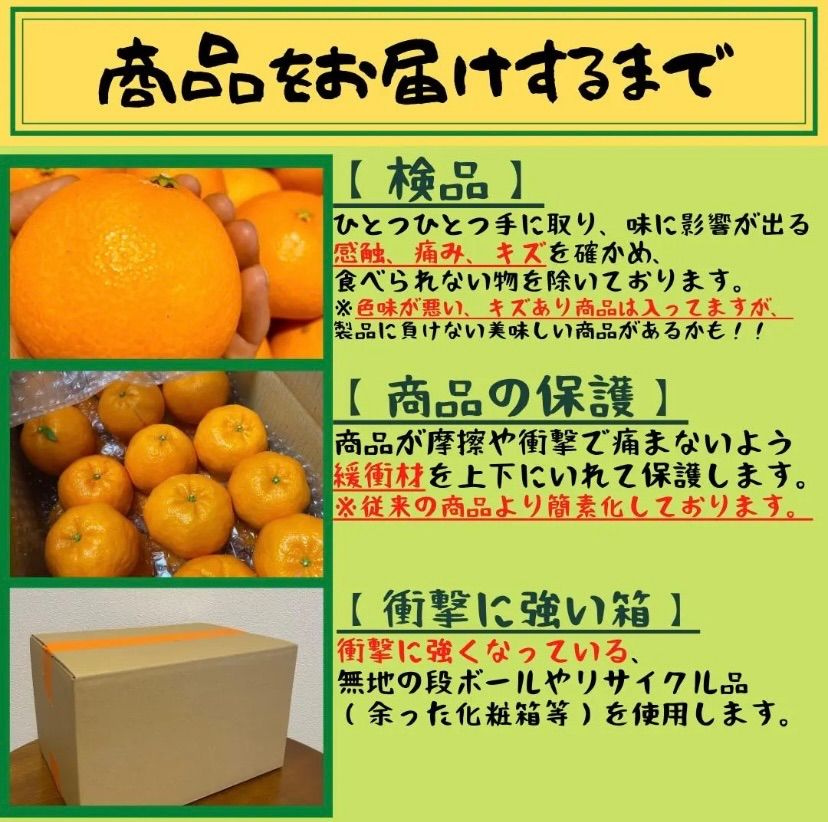 緊急セール【希少☆食べ比べ突っ込みかん】愛媛県 サイズは