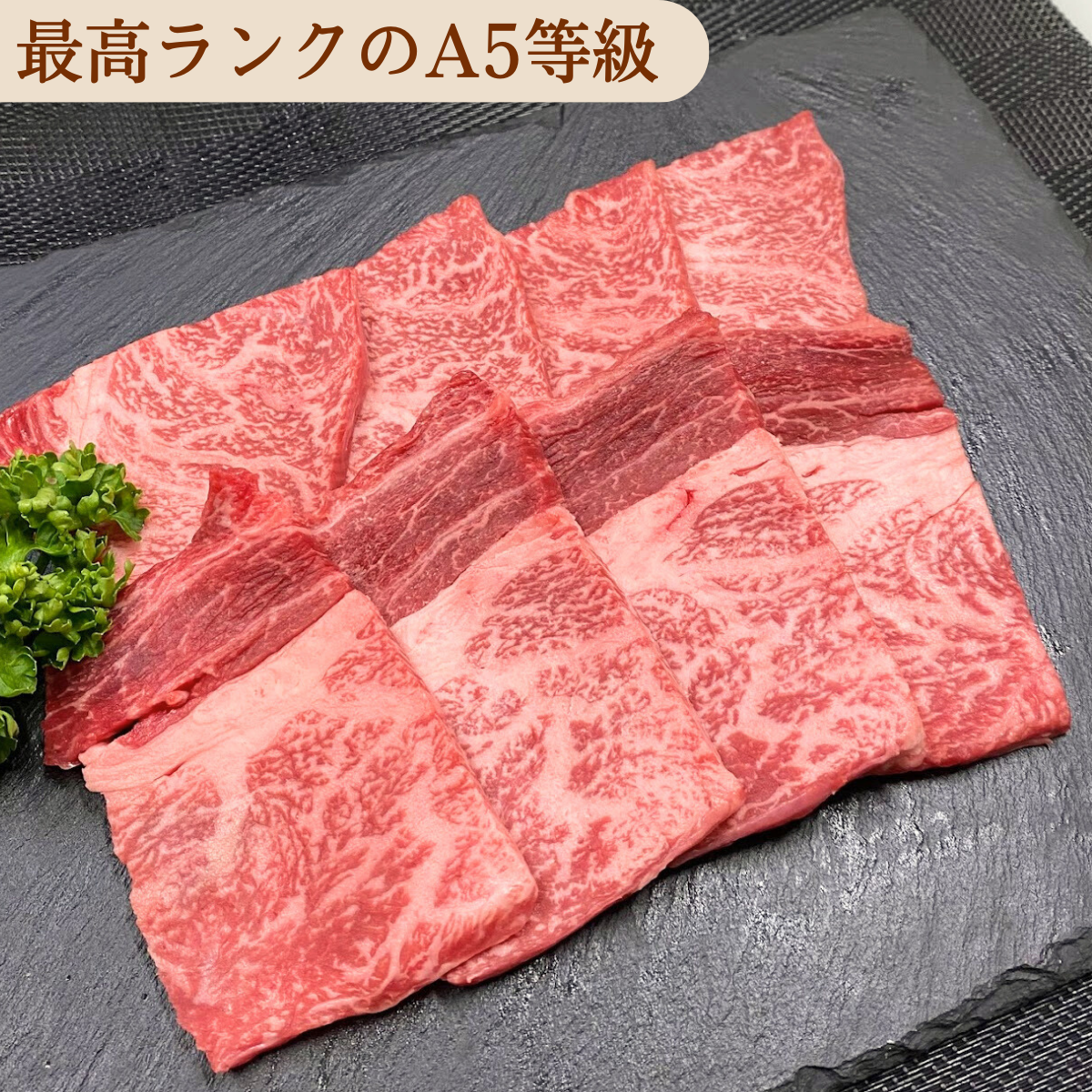 黒毛和牛A5カルビ500ｇ 250g×2パック 国産 焼肉 BBQ  bbq