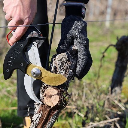 造園 フランス製