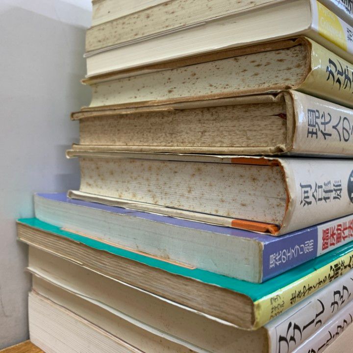 △01)【同梱不可】心理学専門書 まとめ売り約20冊セット/本