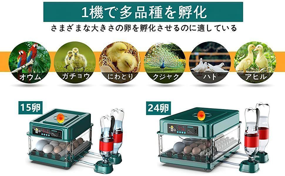 恒温器