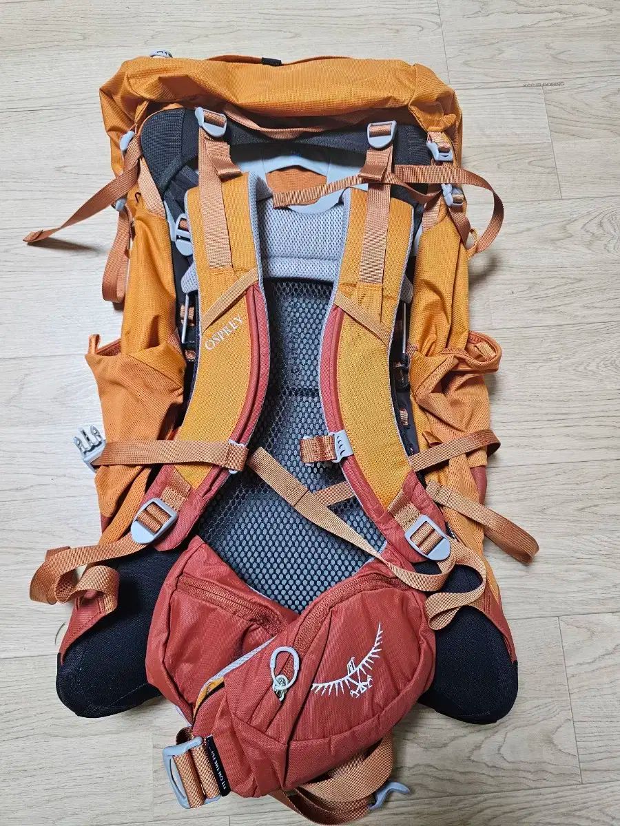 特別価格 オスプレイ OSPREY ACE 50 登山リュック 【人気満点NO.1】