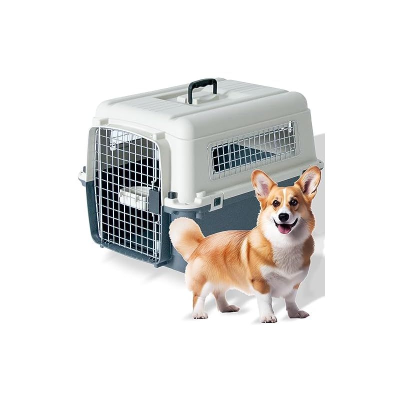 プチリュバン IATA 基準クリア デラックス キャリーバッグ70 LL 外寸 幅51×高47×奥行67.5cm 中型犬用 0