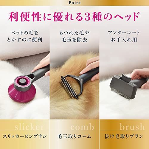 小型犬