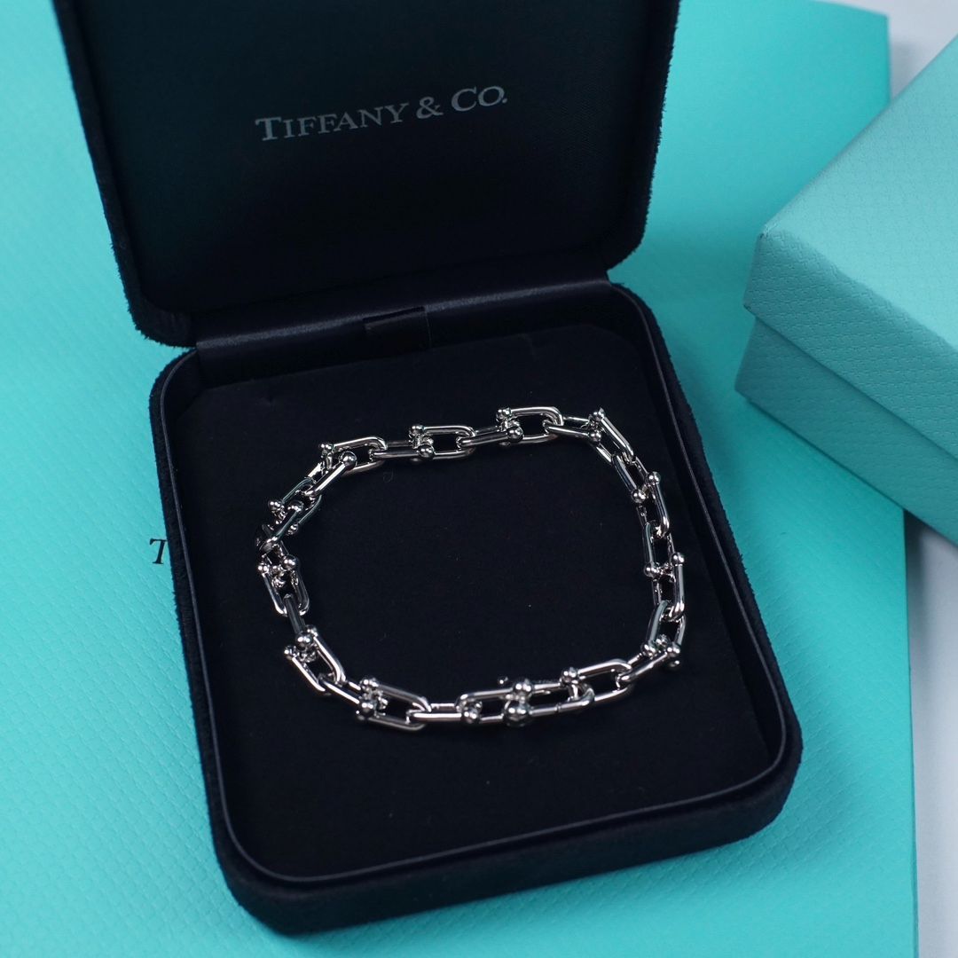 Tiffany ハードウェアグラジュエイテッド リンク ブレスレット